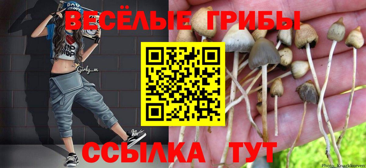 Тамбов  Псилоцибиновые грибы Magic Shrooms  Вход с VPN  Галлюциногенные грибы GOLDEN TEACHER 